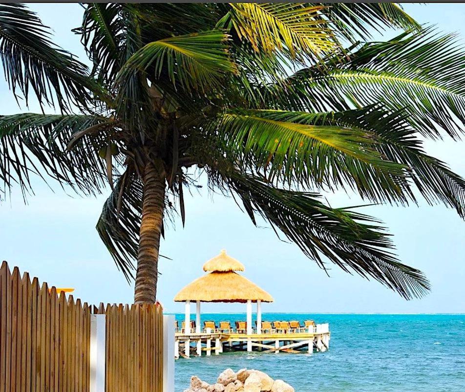Velento Beach Level #9 Caye Caulker Exterior photo